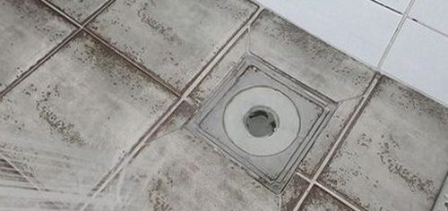 낙성대동 하수구막힘 배수구 거름망과 트랩의 이물질을 살피는 점검 과정
